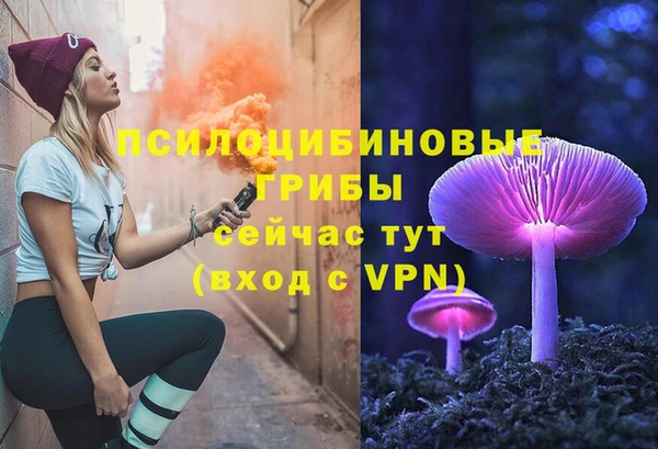 PSILOCYBIN Бугульма